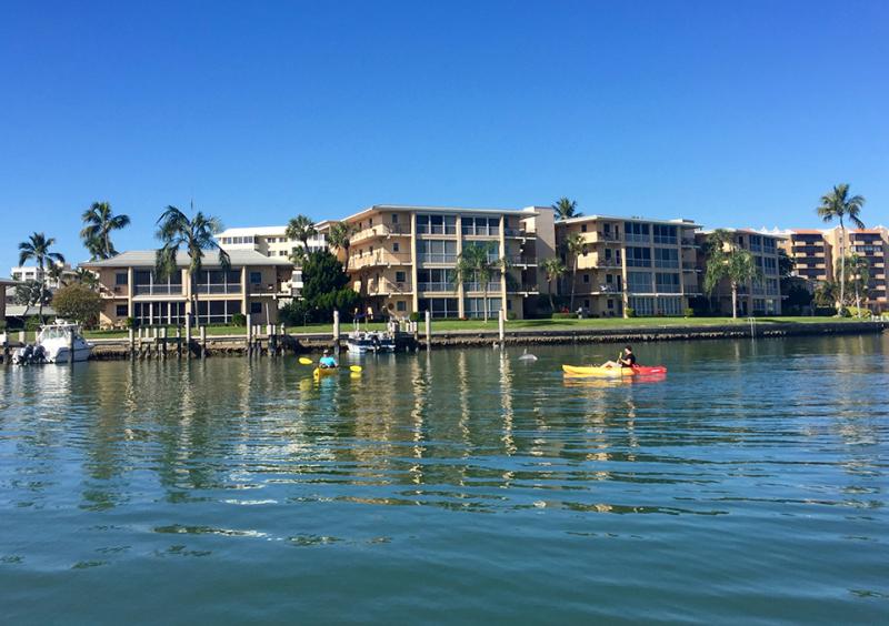 Kayaking with dolphins in Moorings Bay