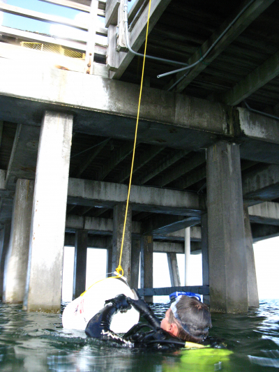 Diver surfacing at pier cleanup