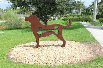 Dog with Missing Bone
