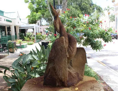 Anhingas