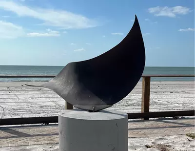 Whale's Tail
