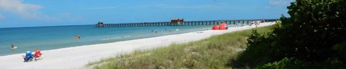 dunewithpier_banner.jpg