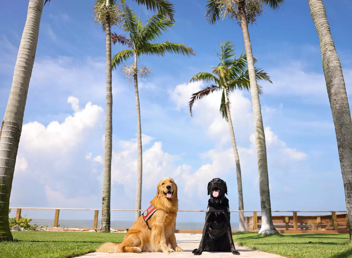 Max and Tessa