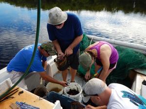 Sifting Through Catch
