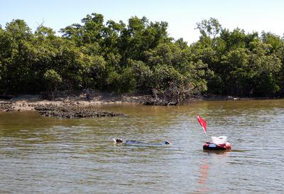 Swimming out to the monitoring locations