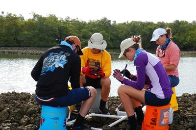 Site 1 Oyster monitoring, May 2020