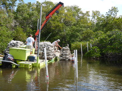 Site 3 oyster reef construction
