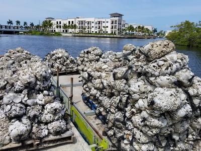Oyster bag pallets on barge