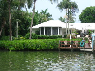 Mangrove hedge