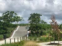 The Knoll
