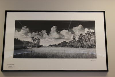 Corkscrew Swamp Sanctuary