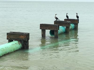 Stormwater Beach Outfall Project